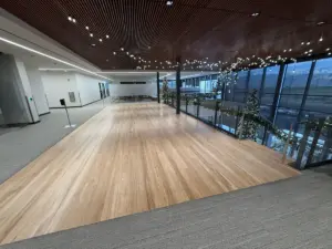 BioMerieux Commercial Hardwood sand and Refinish