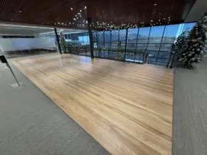 Main "Dance-Floor" Refinish Area